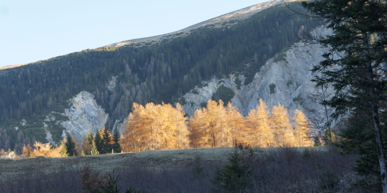 Srečne božične in novoletne praznike 2023