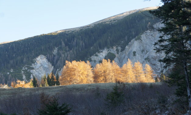 Srečne božične in novoletne praznike 2023